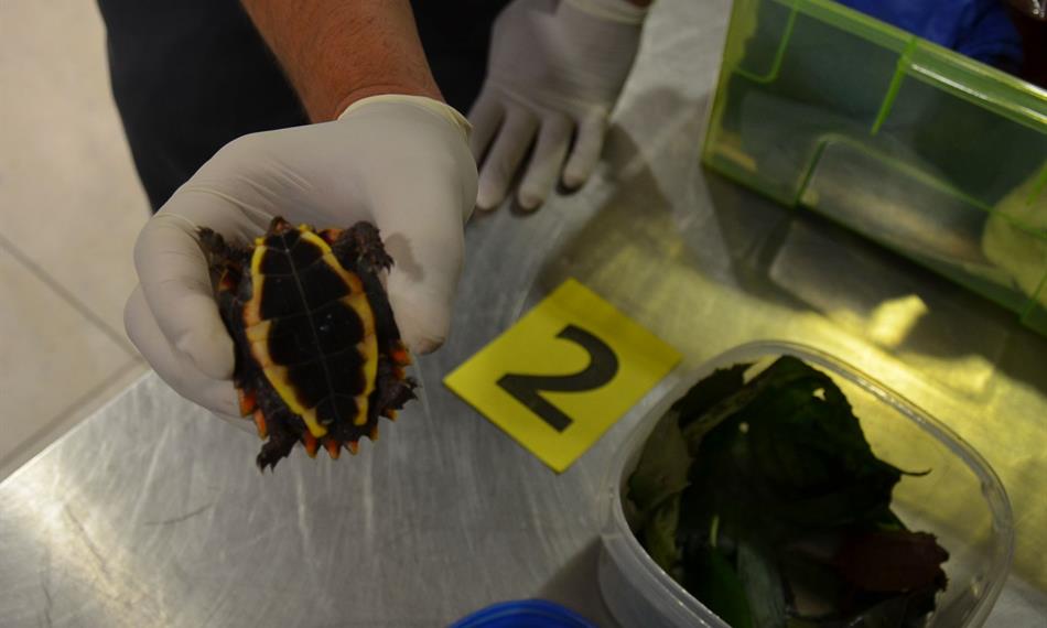 2014-6-10-1251foto 8.jpg